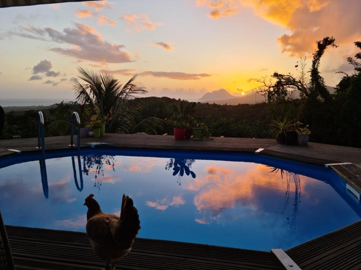Chambre Chez L'Habitant Avec Piscine Privative Et Vue Panoramique Sur La Mer Des Caraibes Desmarinieres Exterior photo